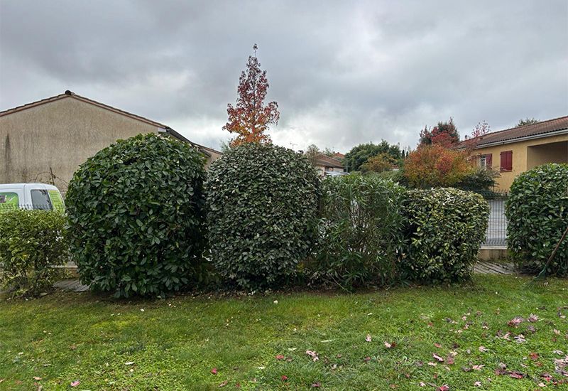 Entretien d'espaces verts pour particuliers et professionnels près d'Albi Entretien d'espaces verts pour particuliers et professionnels près d'Albi