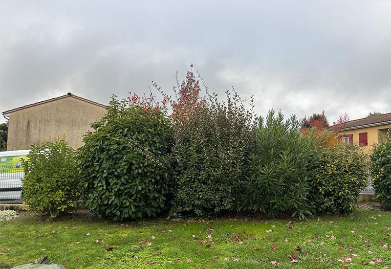 Entretien d'espaces verts pour particuliers et professionnels près d'Albi Entretien d'espaces verts pour particuliers et professionnels près d'Albi