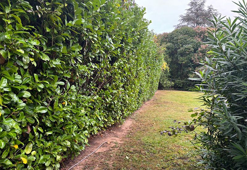 Entretien d'espaces verts pour particuliers et professionnels près d'Albi Entretien d'espaces verts pour particuliers et professionnels près d'Albi